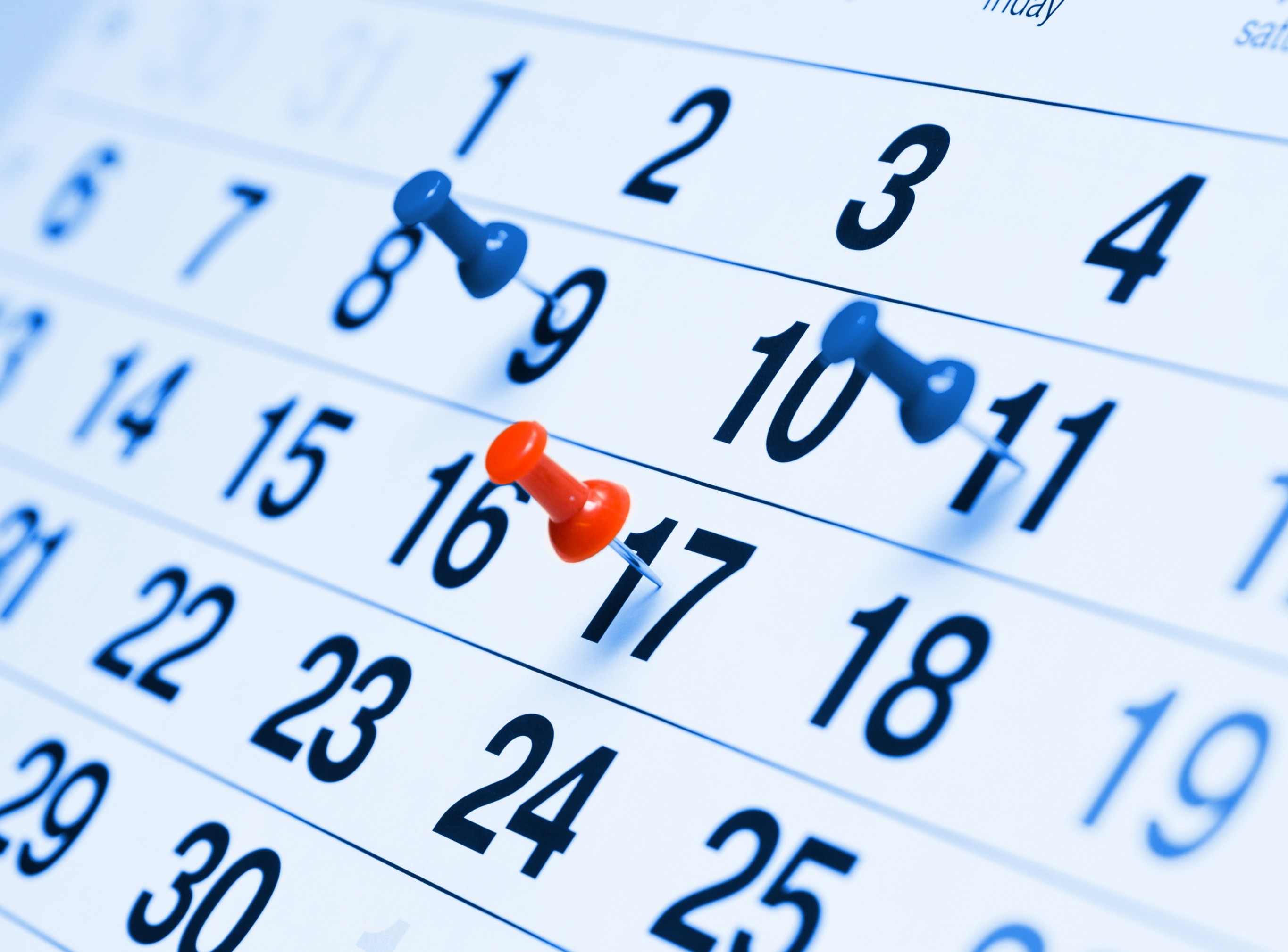 Monthly calendar marked with blue pins and a single red pin