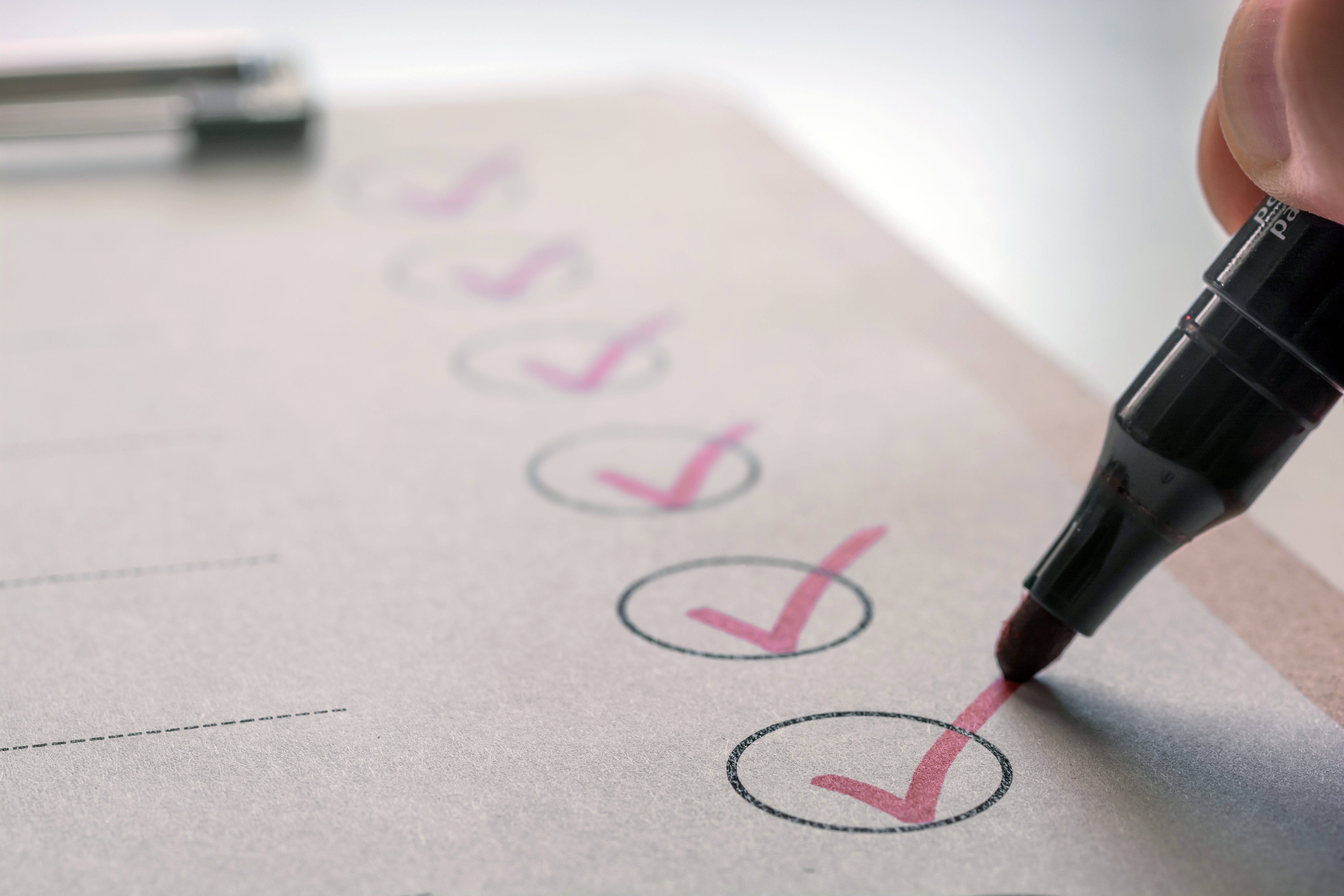 Checklist being marked with red ticks by a pen.