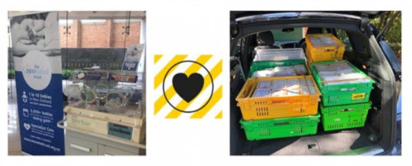 Picture of food packages collected and distributed by Bellyful