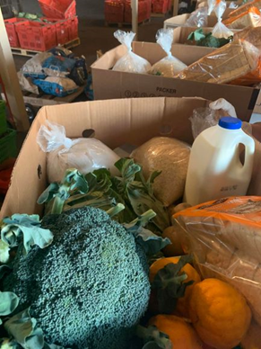 Picture of donated food in Hawke's Bay