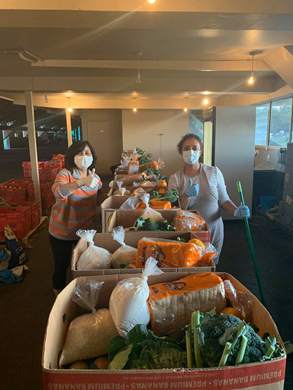 Picture of volunteer workers with food collections